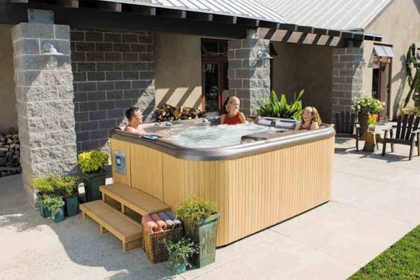 Спа бассейн Sundance Spas Maxxus (рис.1)