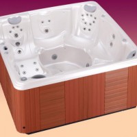 Спа-бассейн Caldera Spas Palatino (рис.1)
