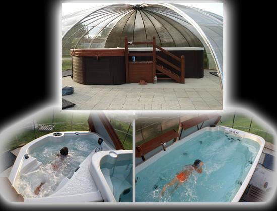Спа бассейн гидромассажный Coast Spas Wellness II Lounger (рис.1)