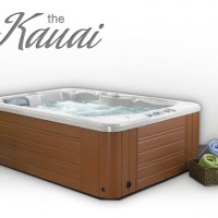 Спа-бассейн Caldera Spas Kauai (рис.3) Спа-бассейн Caldera Spas Kauai (рис.3)