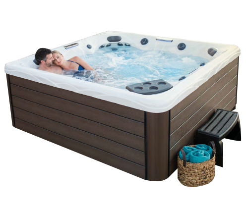Спа бассейн Master Spas Twilight Series TS 8.2 (рис.1)