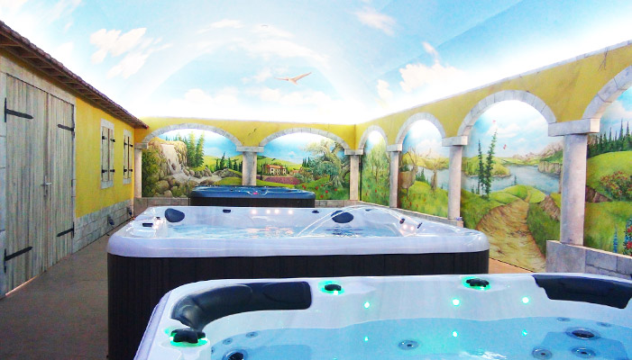 Спа бассейн Passion Spas Pure Spa Repose (рис.8) Спа бассейн Passion Spas Pure Spa Repose (рис.8)