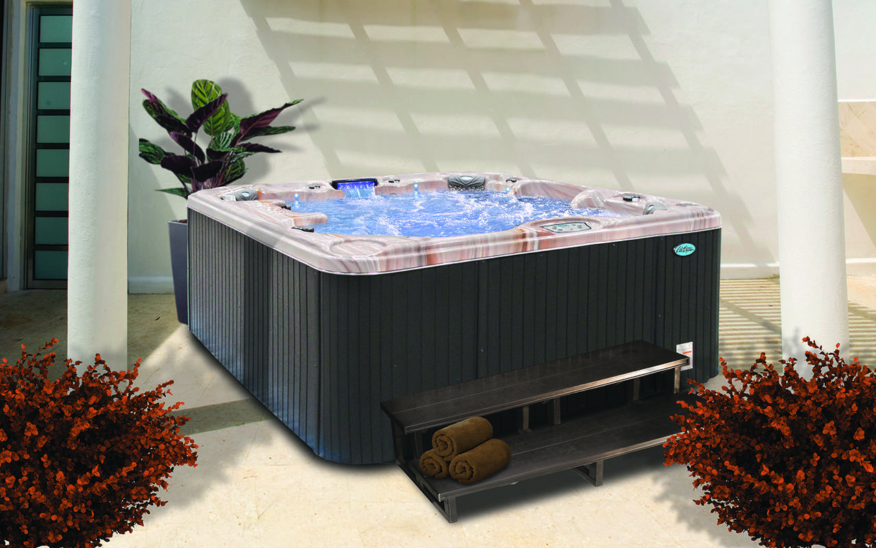 Спа-бассейн Cal Spas Avalon Plus EP-864LE (рис.8) Спа-бассейн Cal Spas Avalon Plus EP-864LE (рис.8)