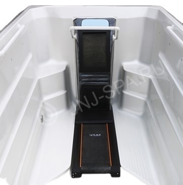 Плавательный бассейн с противотоком Bigeer Альдо Swim Spa BG6656 (рис.2)