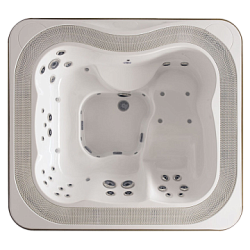 Спа-бассейн Jacuzzi Profile Built In